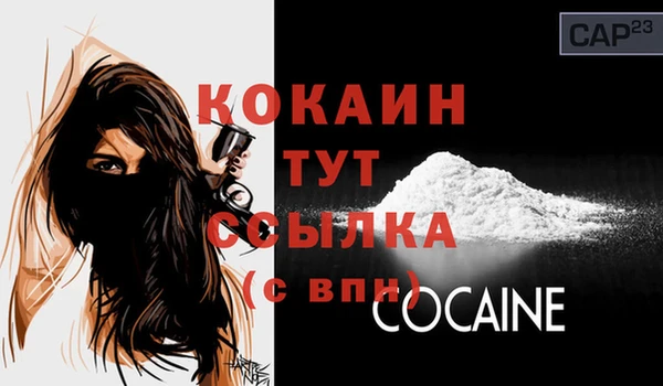 мдпв Елизово
