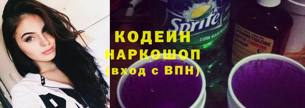 мдпв Елизово