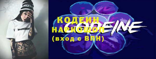 мдпв Елизово