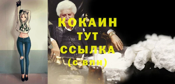 прущий лед Ельня