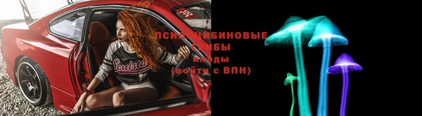 прущий лед Ельня