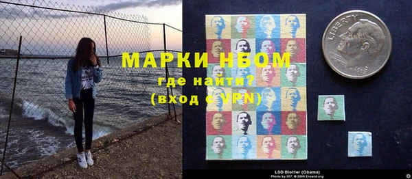 прущий лед Ельня