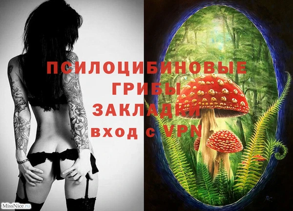 прущий лед Ельня