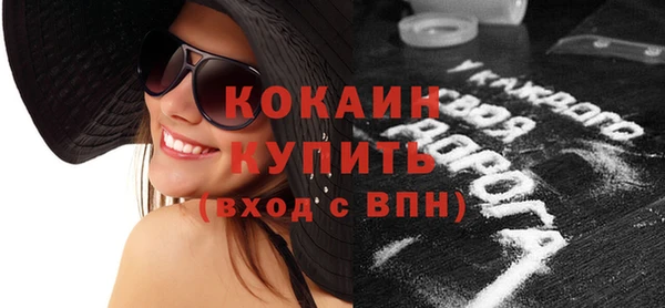 мдпв Елизово