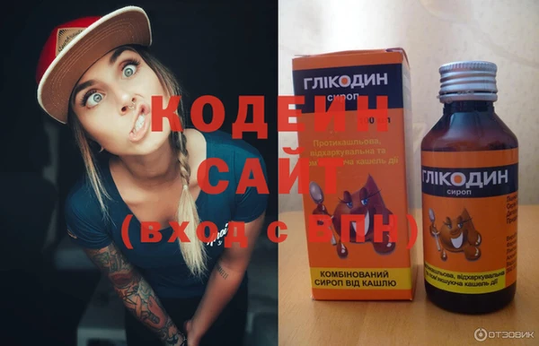 мдпв Елизово