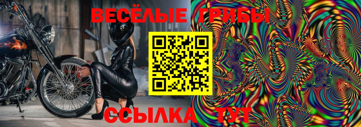 Псилоцибиновые грибы мицелий Мичуринск