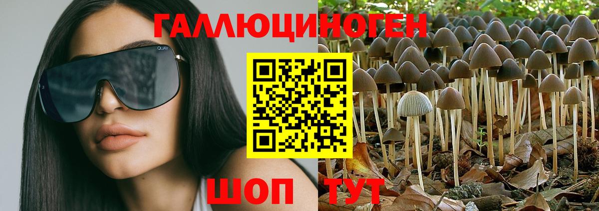 Псилоцибиновые грибы Psilocybine cubensis Мичуринск