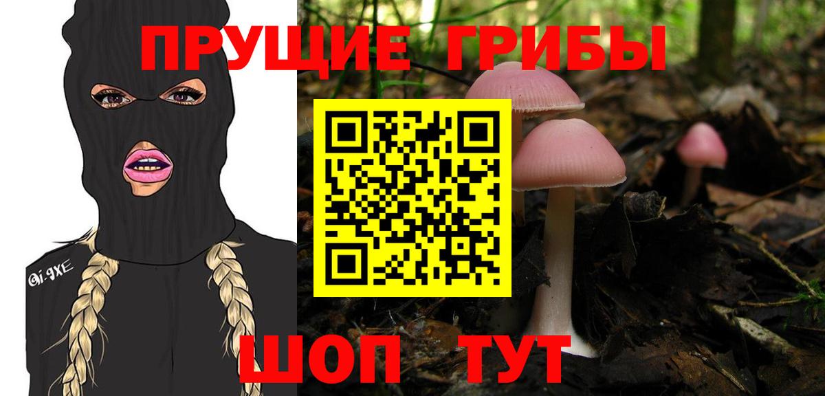 цена   Галлюциногенные грибы прущие грибы  Мичуринск  Псилоцибиновые грибы мухоморы 
